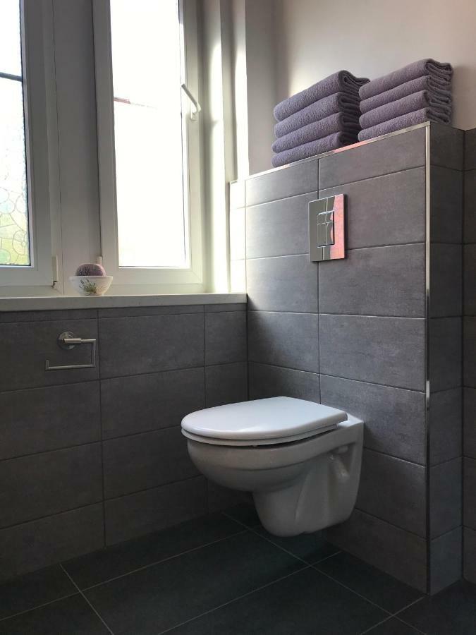 Apartman Havlickova Карловы Вары Экстерьер фото